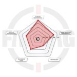 ⁦Gamo Shadow DX 3 – بندقية جامو شادو DX3 الأصلية عيار 5.5 مم من FARRAG⁩ - الصورة ⁦2⁩