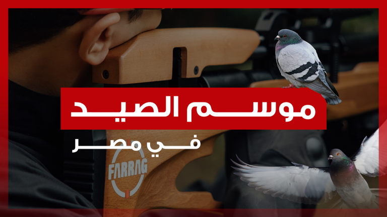موسم الصيد في مصر 2025 – بنادق هوائية من FARRAG For Hunting وصيد الحمام والطيور المهاجرة